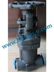 API forged steel high pressure weld gate valve